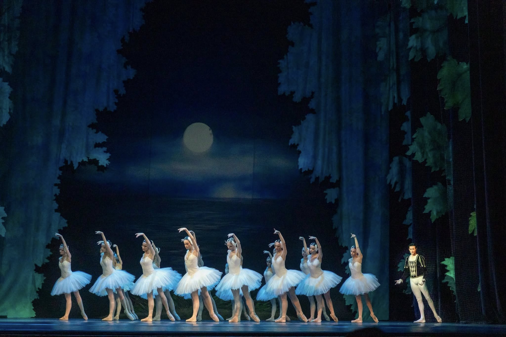 Снимка: ЛЕБЕДОВО ЕЗЕРО / SWAN LAKE by Pyotr Ilyich Tchaikovsky