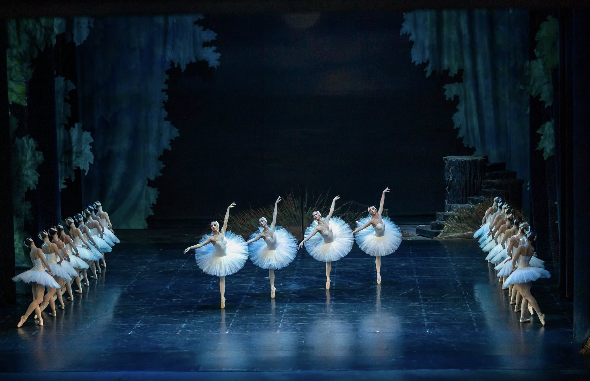 Снимка: „Лебедово езеро“ от П. И. Чайковски