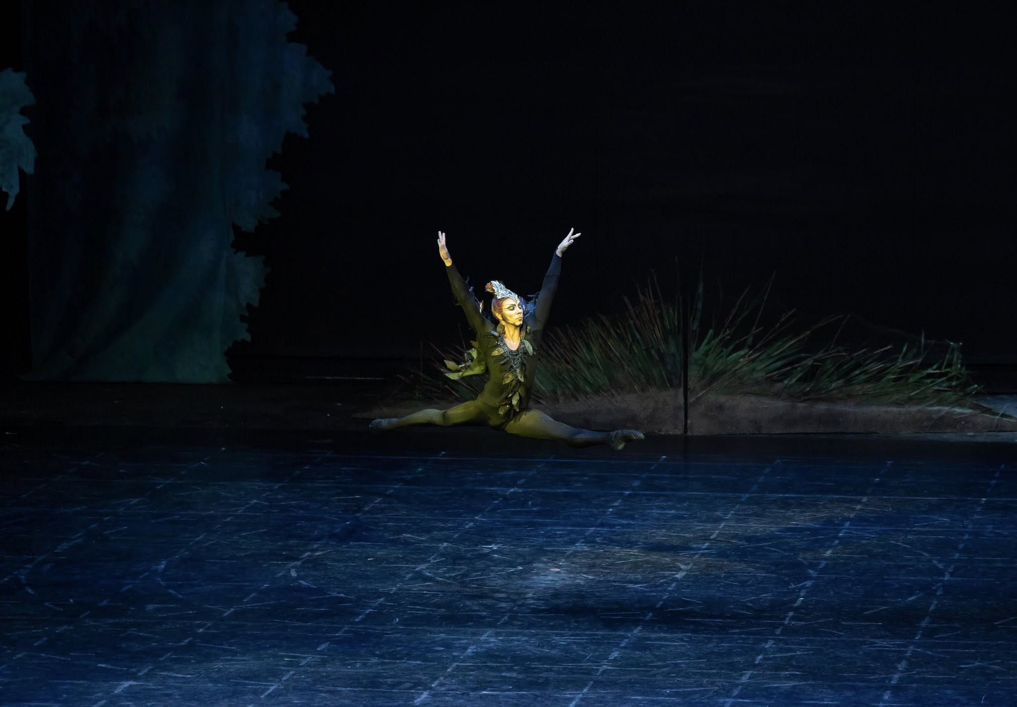 Снимка: „Лебедово езеро“ от П. И. Чайковски