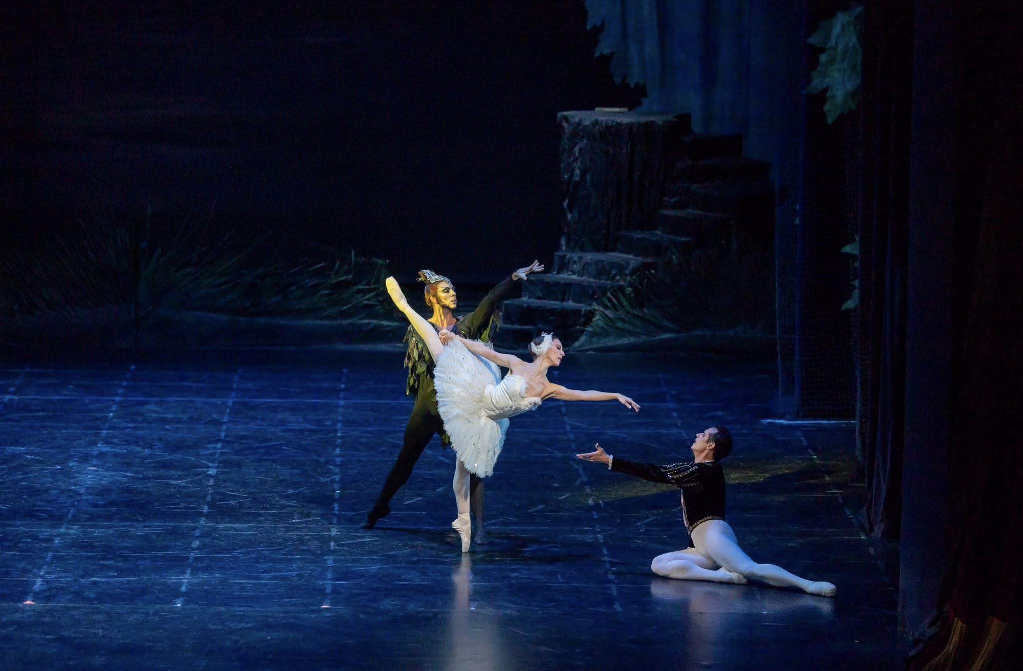 Снимка: „Лебедово езеро“ от П. И. Чайковски