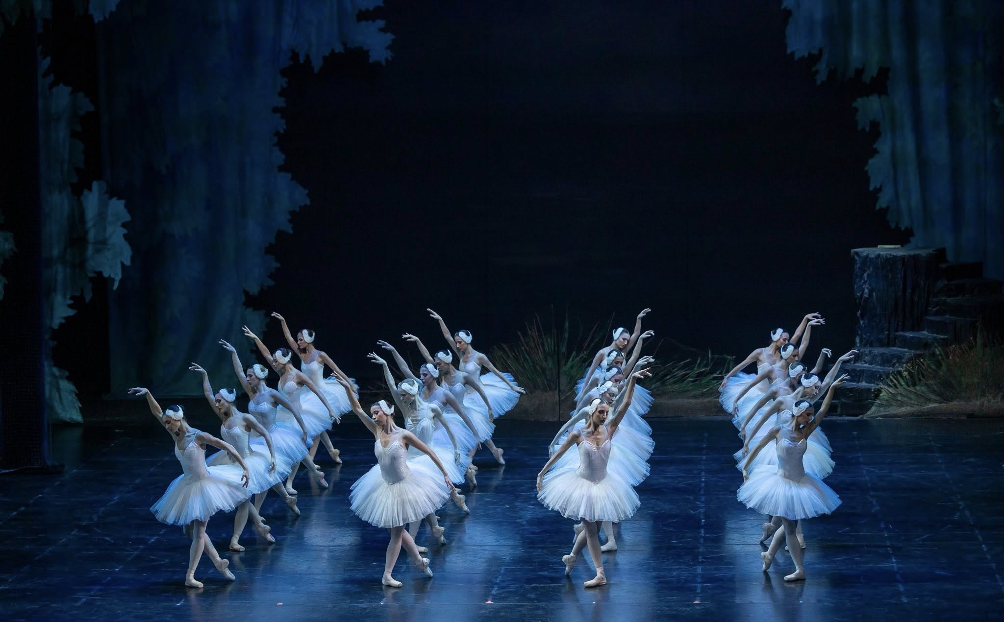 Снимка: „Лебедово езеро“ от П. И. Чайковски