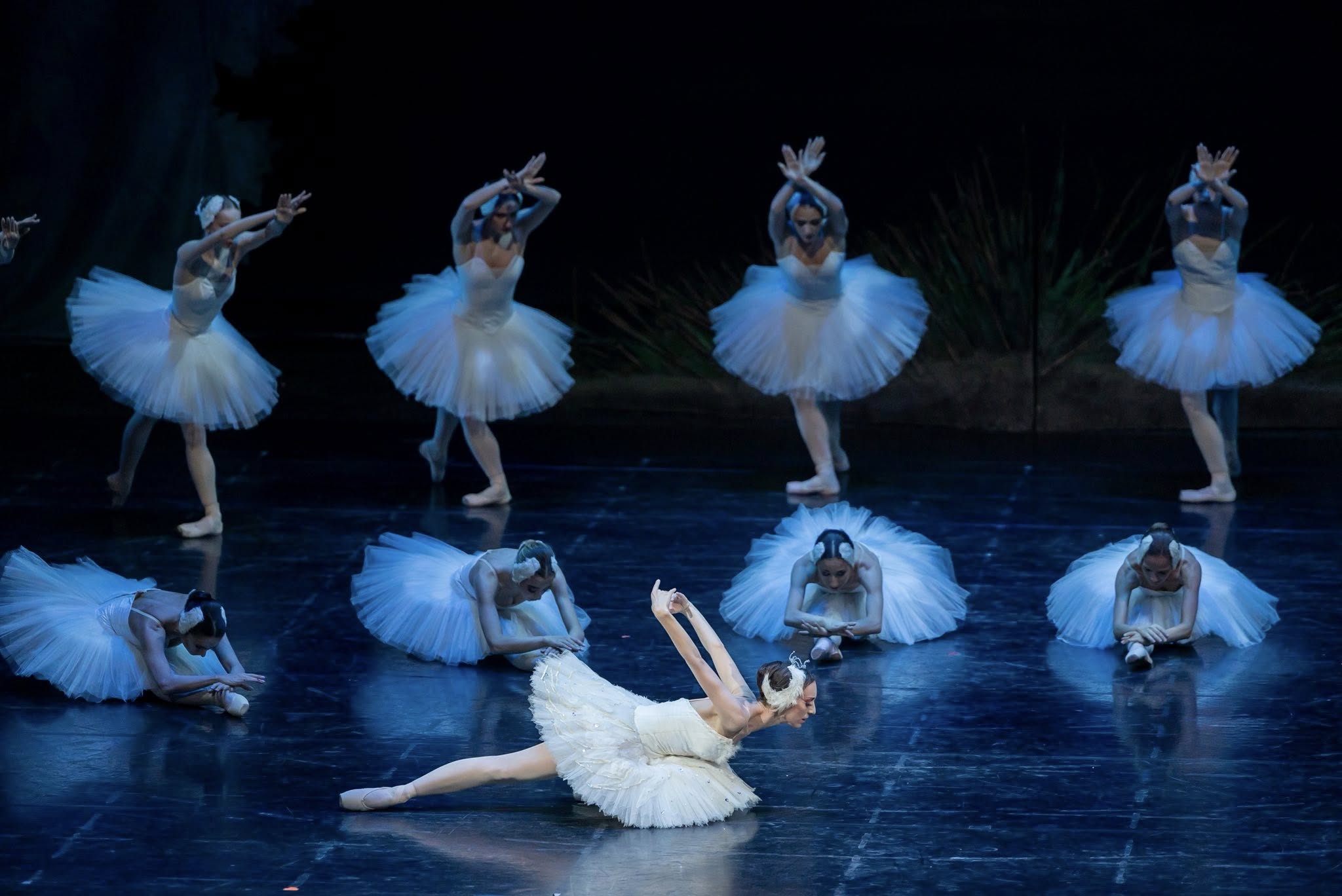 Снимка: „Лебедово езеро“ от П. И. Чайковски