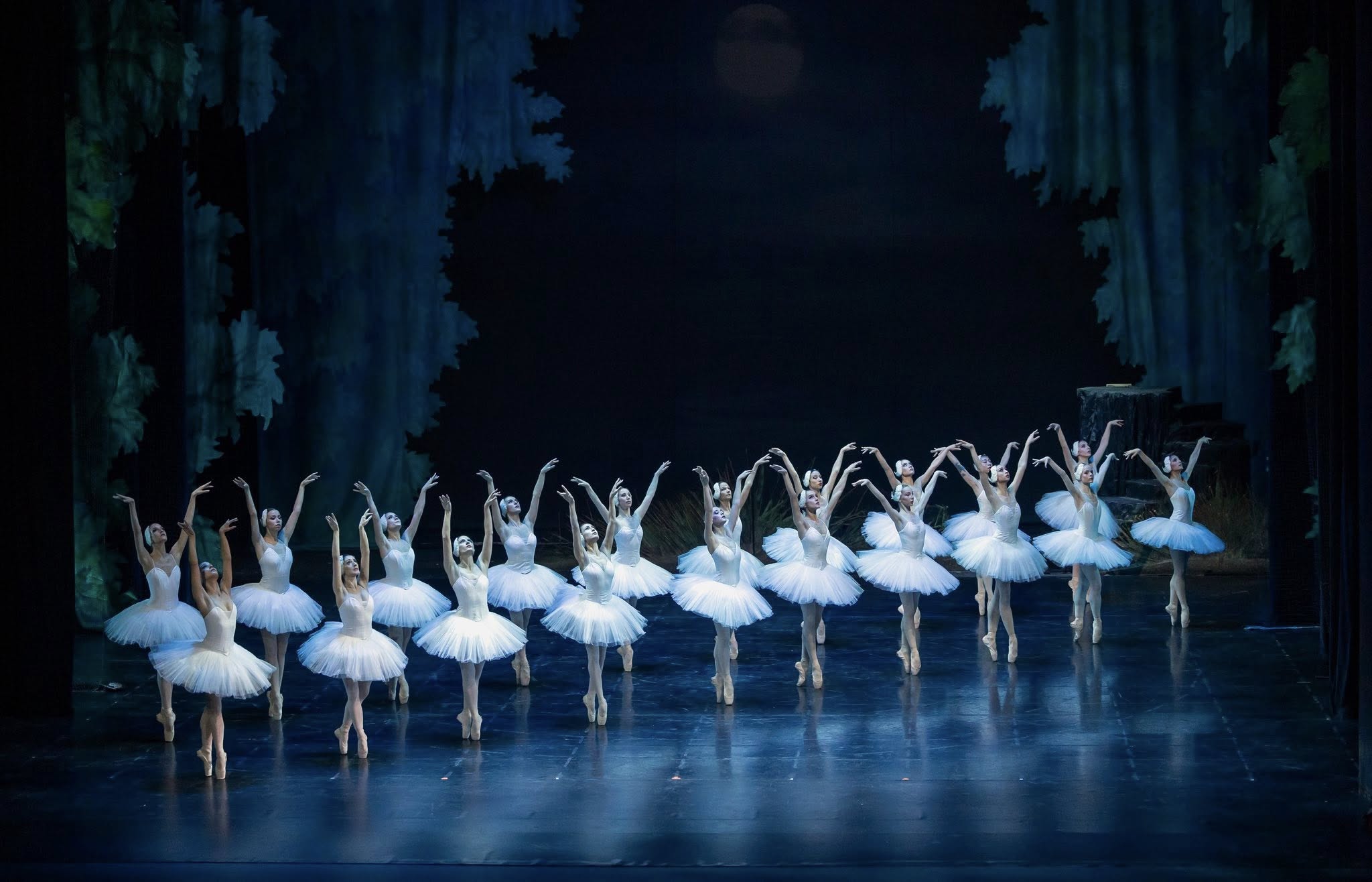 Снимка: „Лебедово езеро“ от П. И. Чайковски