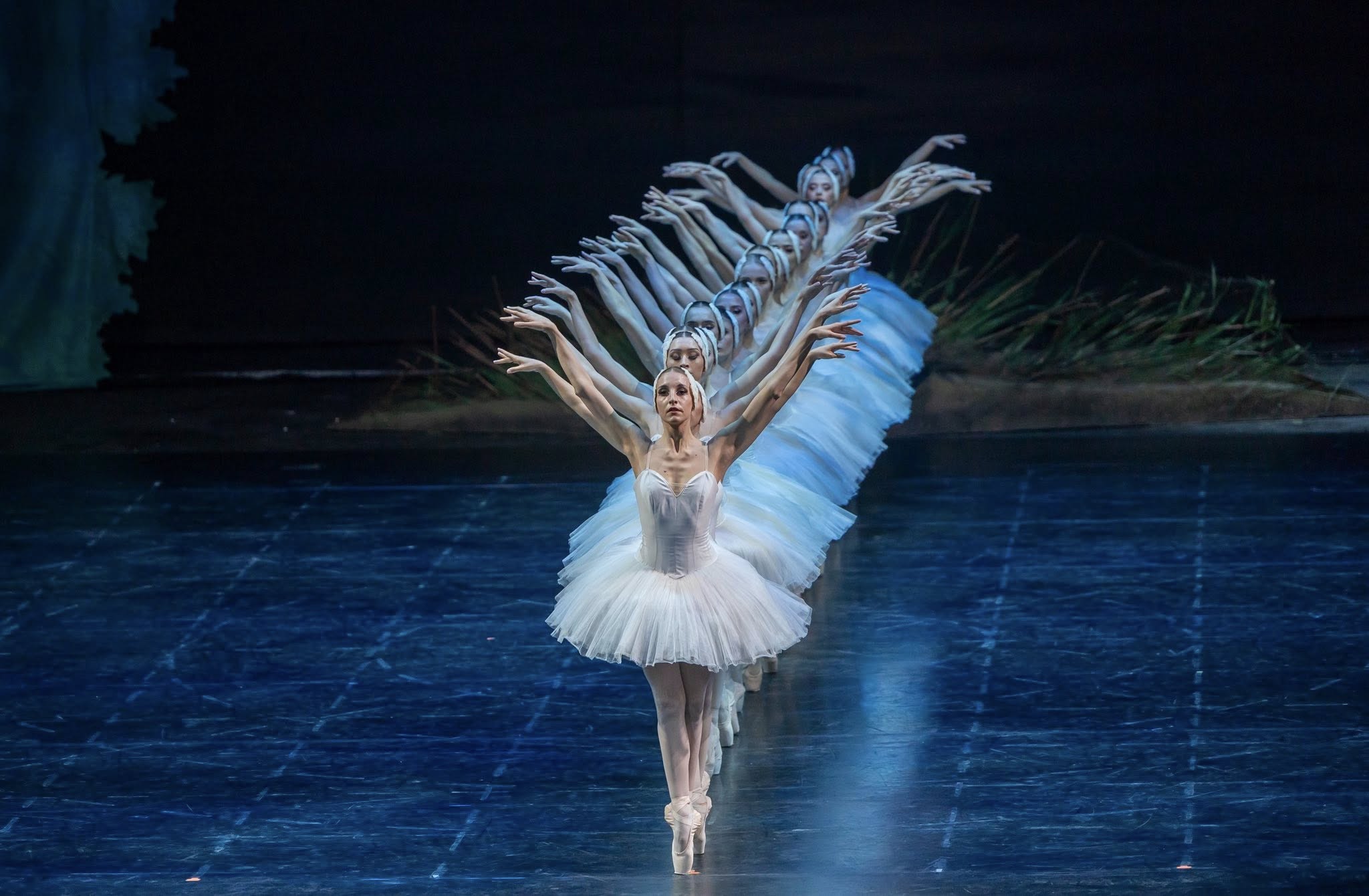 Снимка: „Лебедово езеро“ от П. И. Чайковски