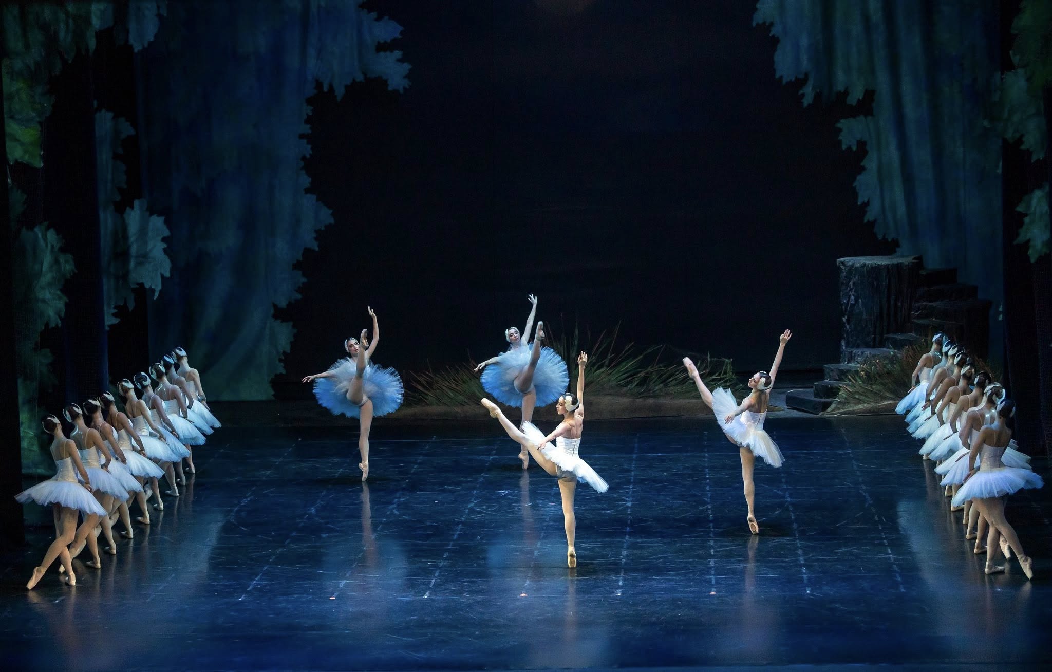 Снимка: „Лебедово езеро“ от П. И. Чайковски