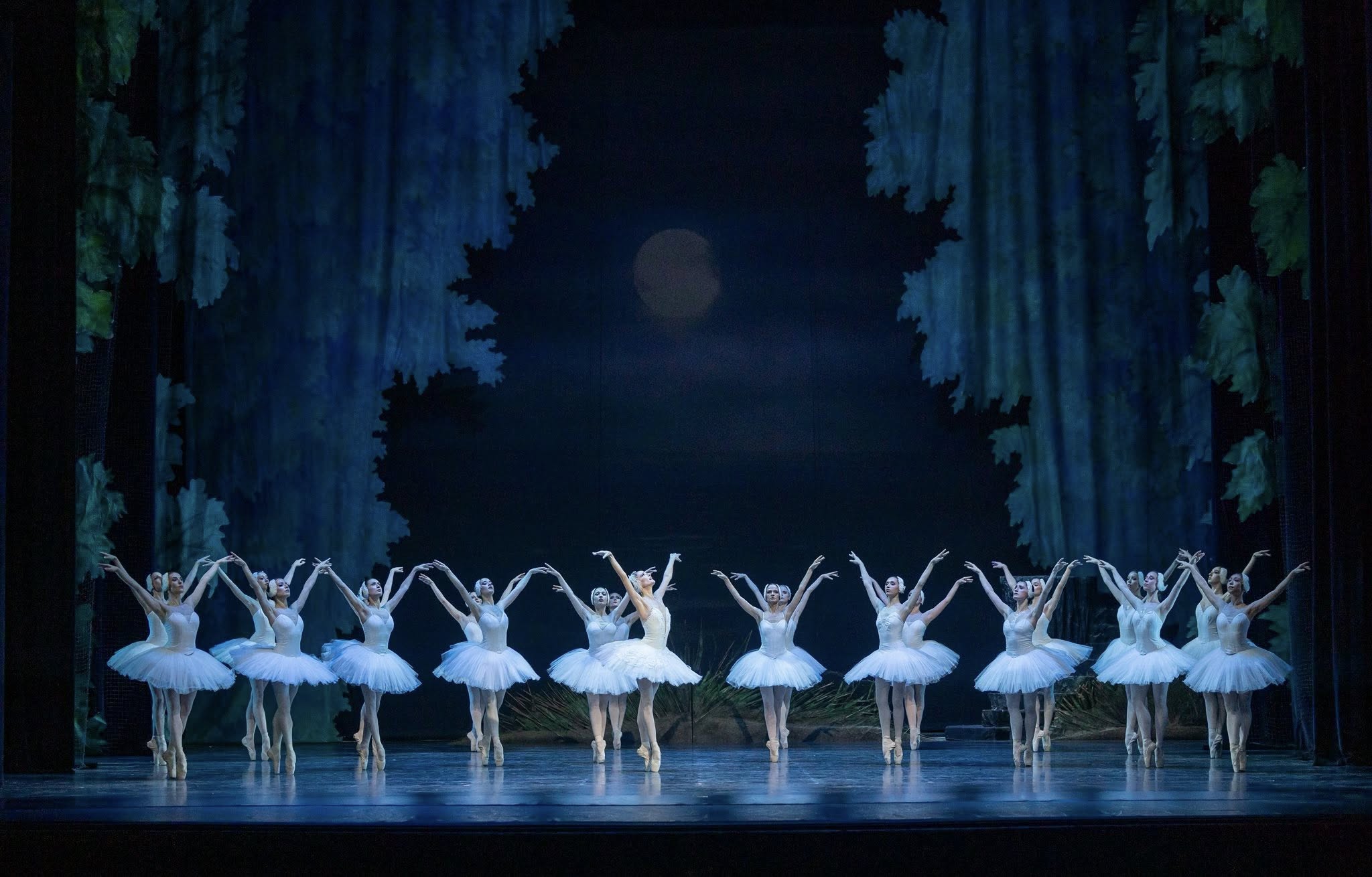 Снимка: ЛЕБЕДОВО ЕЗЕРО / SWAN LAKE by Pyotr Ilyich Tchaikovsky