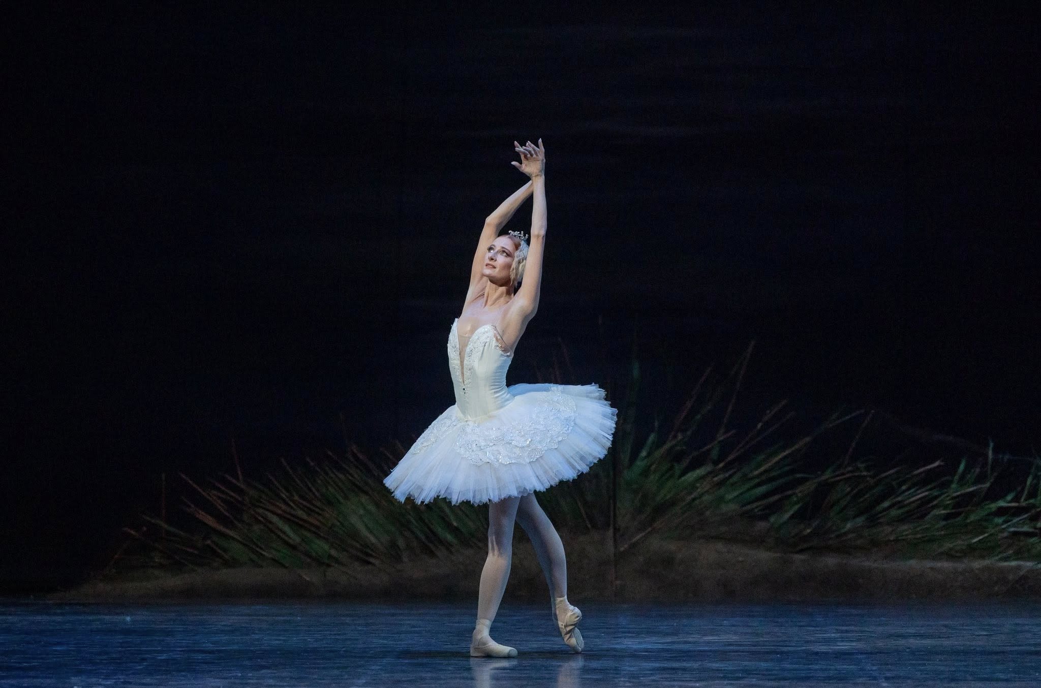 Снимка: ЛЕБЕДОВО ЕЗЕРО / SWAN LAKE by Pyotr Ilyich Tchaikovsky