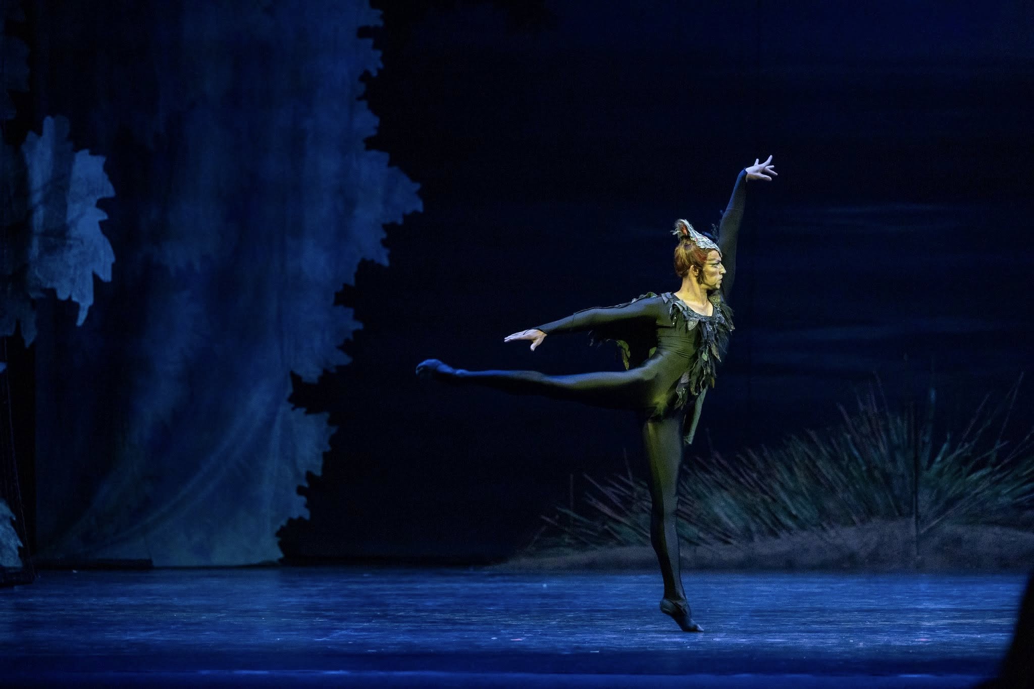 Снимка: ЛЕБЕДОВО ЕЗЕРО / SWAN LAKE by Pyotr Ilyich Tchaikovsky