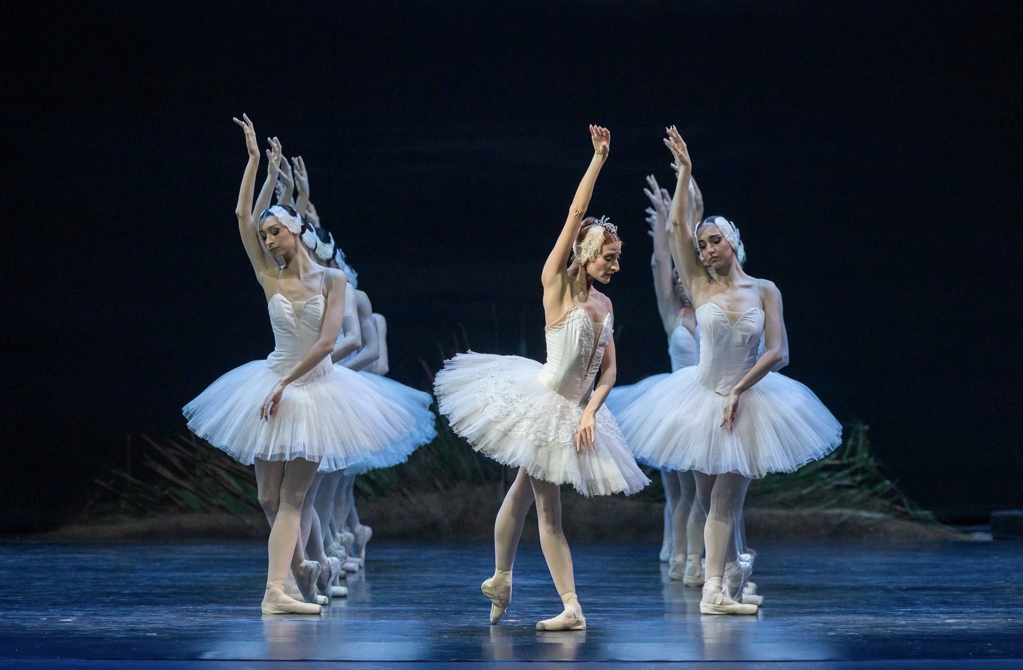 Снимка: ЛЕБЕДОВО ЕЗЕРО / SWAN LAKE by Pyotr Ilyich Tchaikovsky