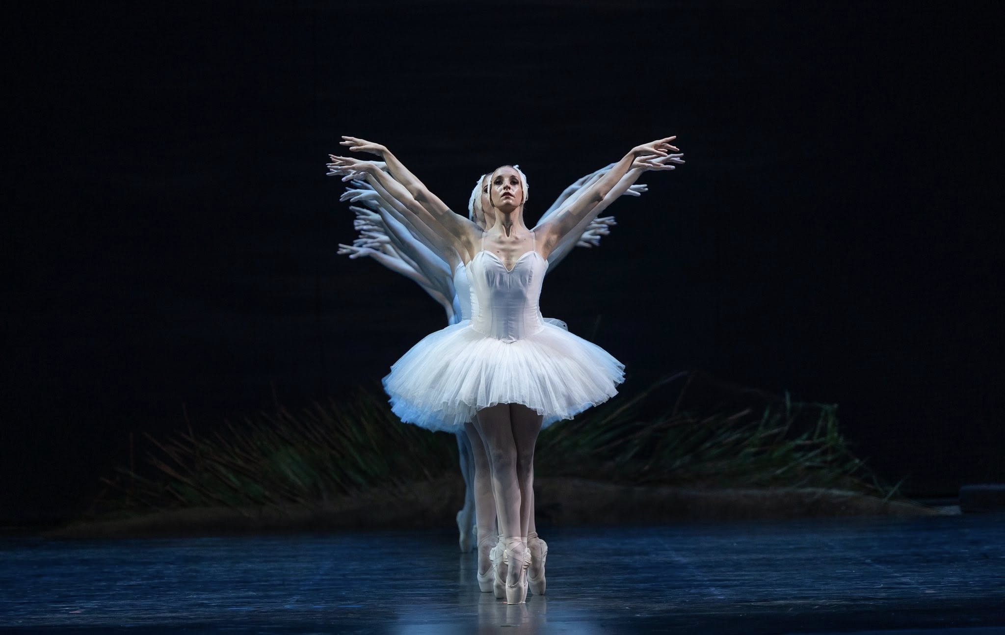 Снимка: ЛЕБЕДОВО ЕЗЕРО / SWAN LAKE by Pyotr Ilyich Tchaikovsky