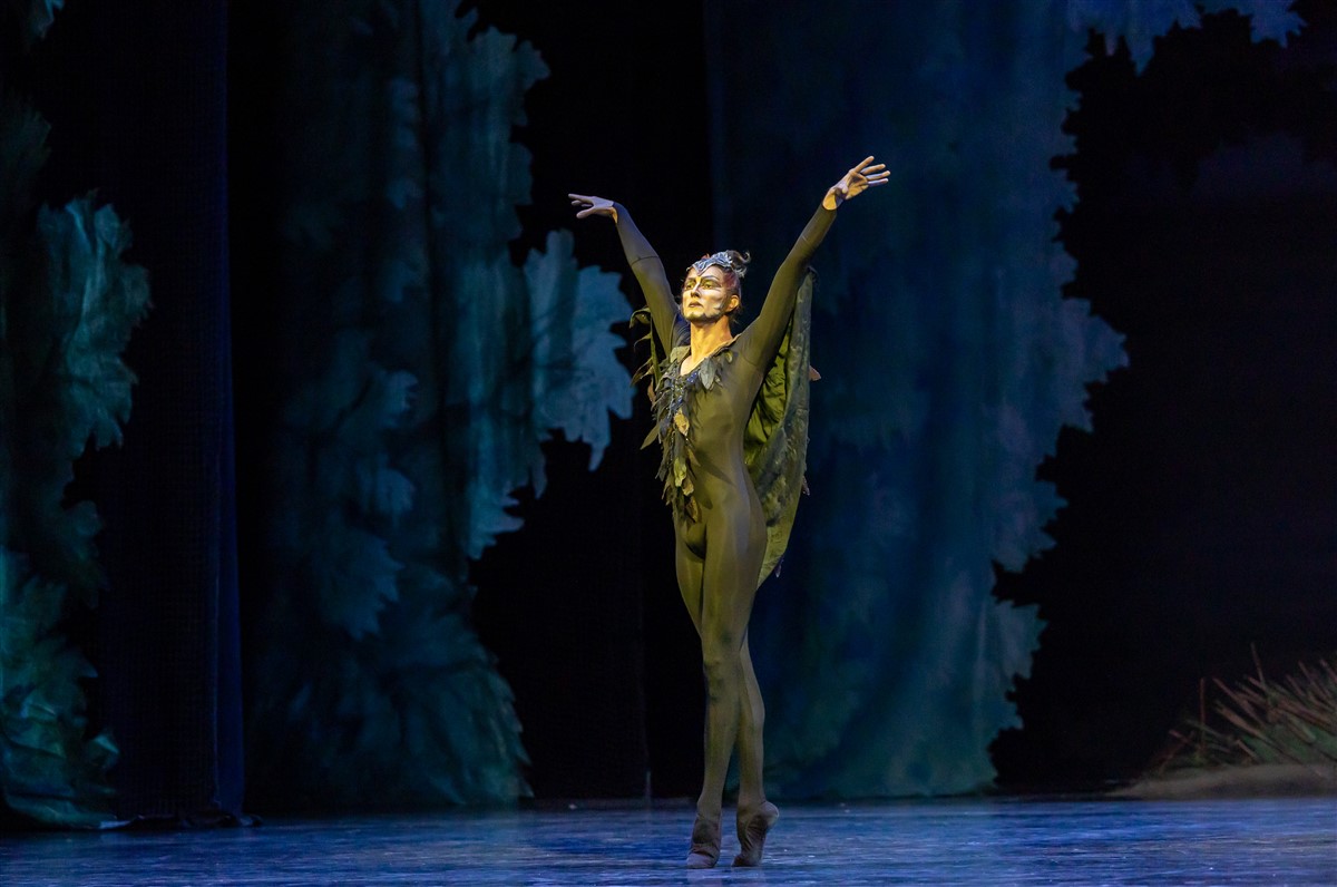 Photo: ЛЕБЕДОВО ЕЗЕРО / SWAN LAKE by Pyotr Ilyich Tchaikovsky