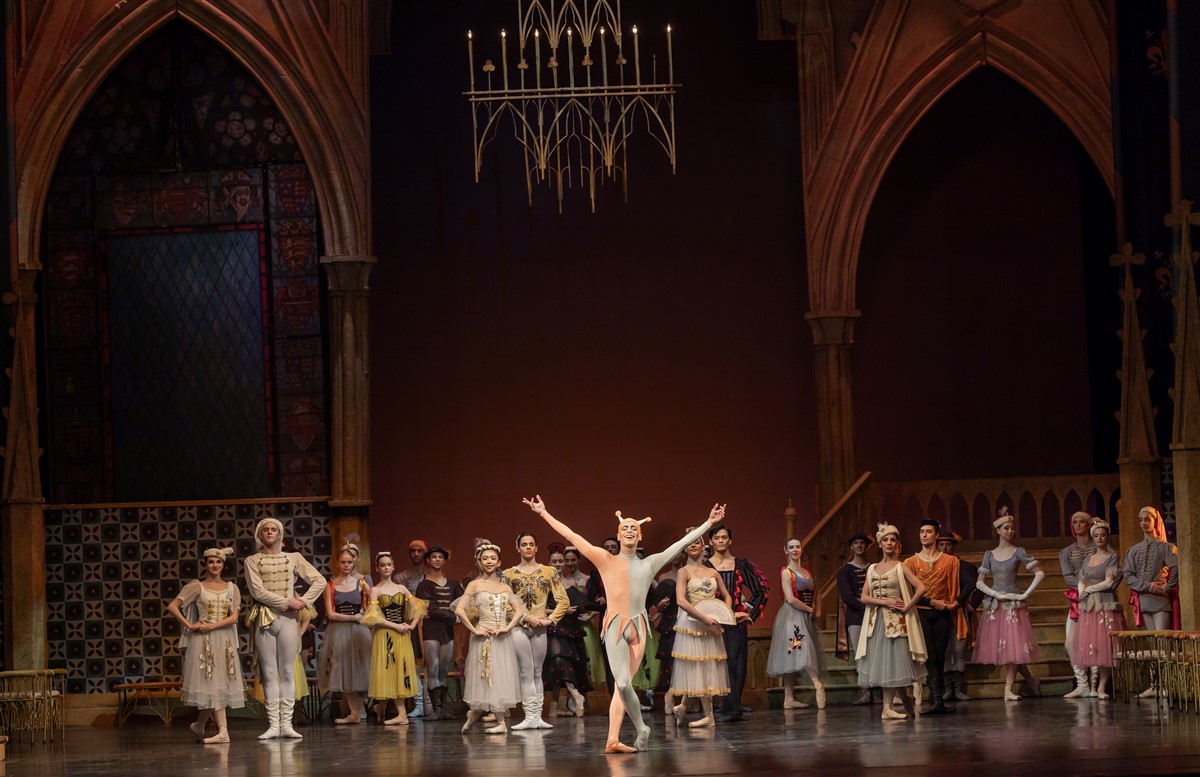 Photo: ЛЕБЕДОВО ЕЗЕРО / SWAN LAKE by Pyotr Ilyich Tchaikovsky