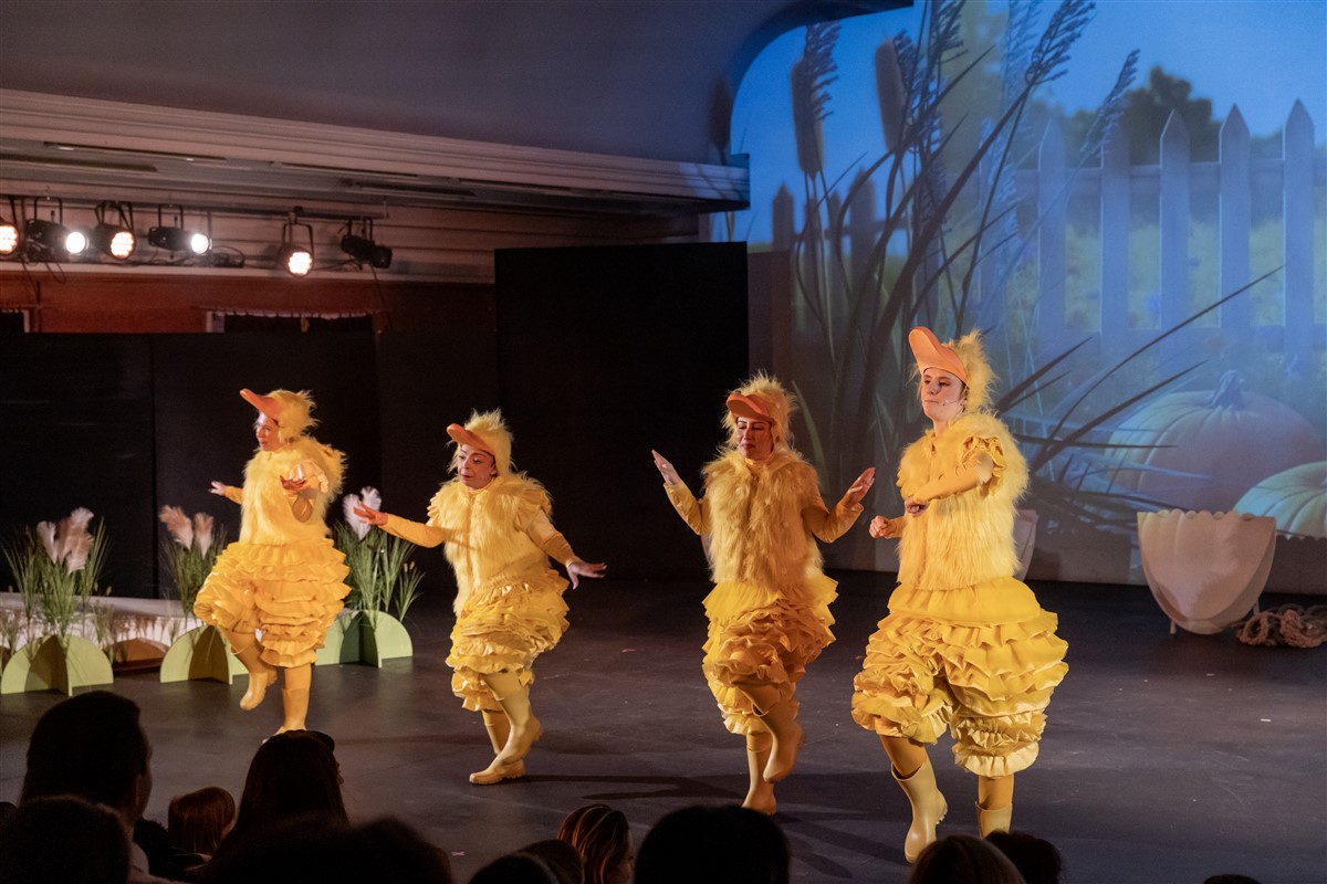 Снимка: ГРОЗНОТО ПАТЕНЦЕ / THE UGLY DUCKLING