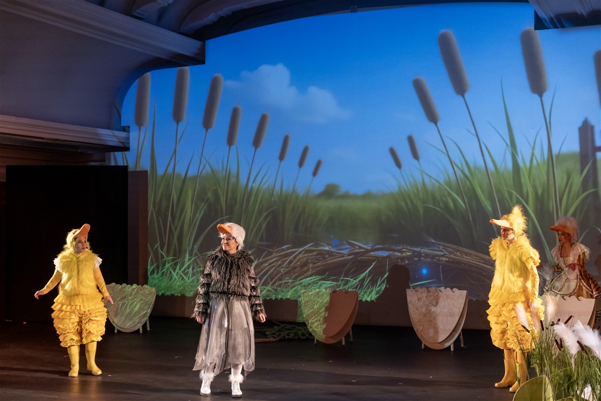 Снимка: ГРОЗНОТО ПАТЕНЦЕ / THE UGLY DUCKLING