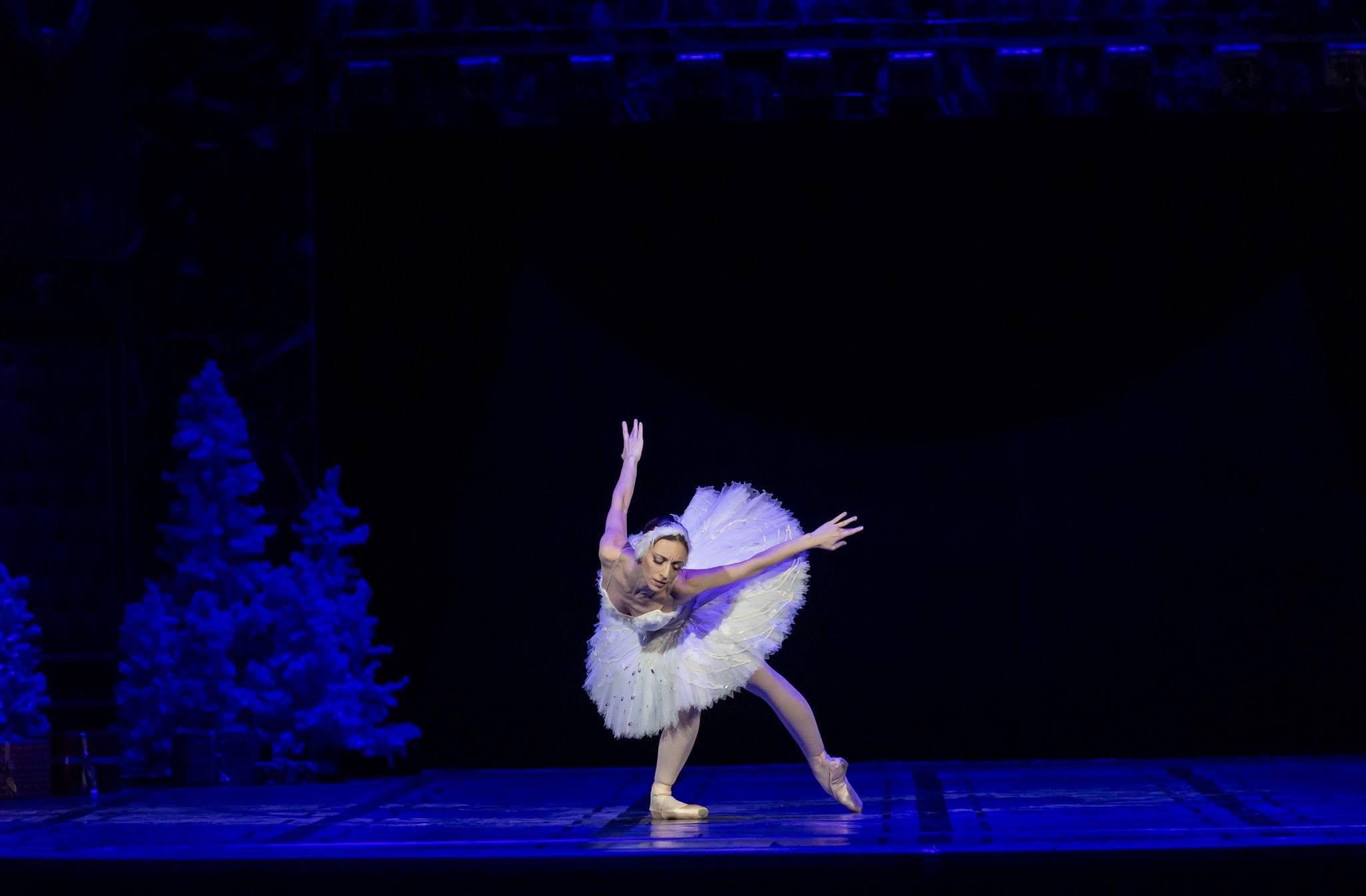 Снимка: Празнична атмосфера, блясък и вълнение изпълниха залата на Софийската опера и балет по време на първата Новогодишна гала вечер на 29 декември! ✨