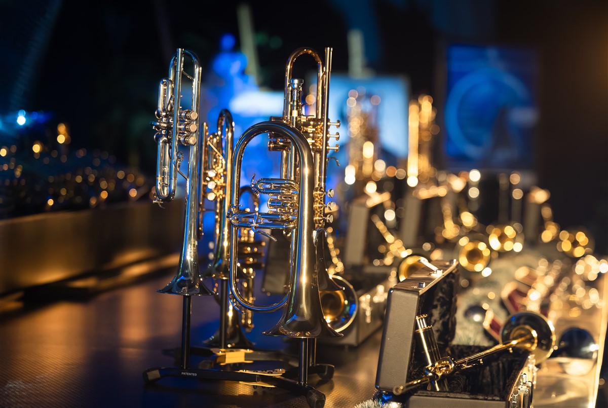 Снимка: Оркестърът на Софийската опера и балет с нови инструменти